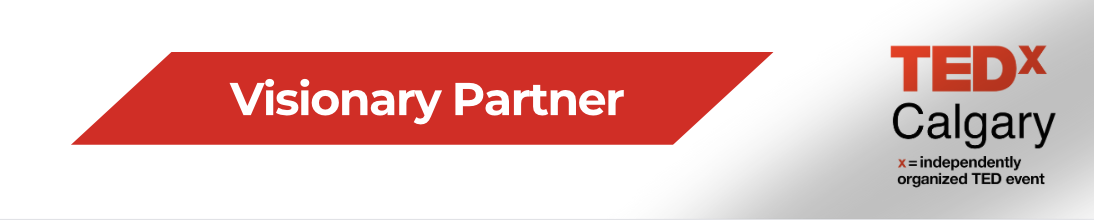 VisionaryPartner